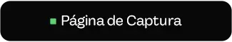 9. Página de Captura